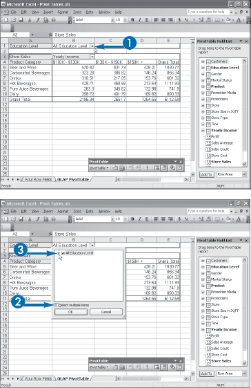 Display Multiple Page Field Items