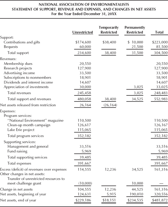 Income statement that meets the requirements of SFAS No. 117.