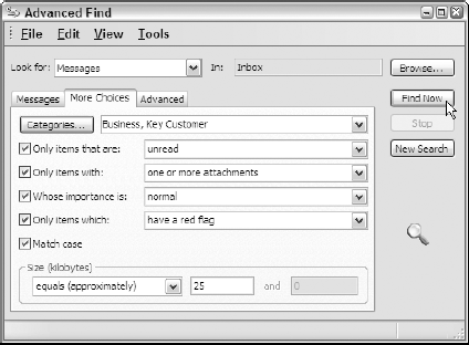 The More Choices tab of the Advanced Find dialog box.