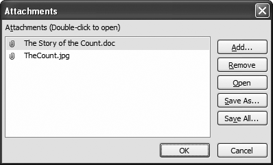 The Attachments dialog box shows you all the files that are linked to your field.