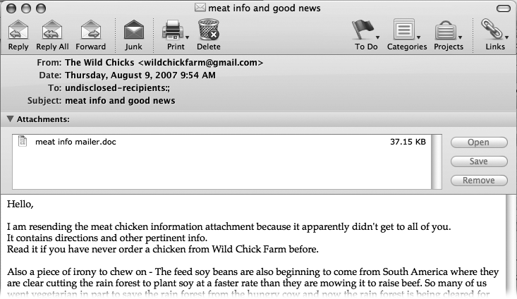 When you open an email message by double-clicking it, you may see several things in addition to the text of the message: the attachments and the attachment control buttons, basic information (such as who sent the message, when it was sent, and its subject), and an email toolbar complete with buttons for Reply, Forward, Delete, and so on.