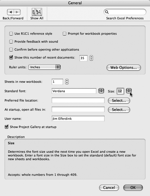 The Excel Preferences → General pane lets you set what you’d like to see every time you start Excel. You can control the number of sheets in a new workbook, the font and font size, your preferred location to save Excel files, and even have an entire folder full of Excel documents open all at once. (Microsoft appears to be betting on the popularity of bigger and bigger monitors—you can choose font sizes up to 409 points!)