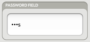 A Password Field widget example