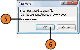 Encrypt the Document, Workbook, or Presentation