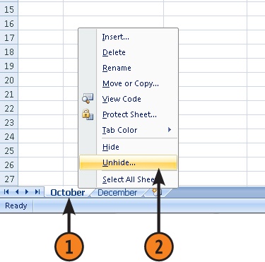 Unhide a Hidden Worksheet