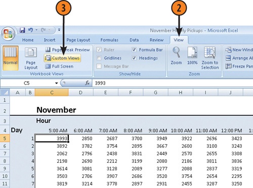 Name the Current View of the Worksheet