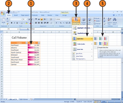 Display Data Bars