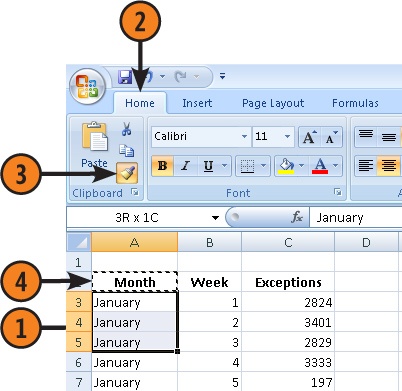 Copy Styles with the Format Painter