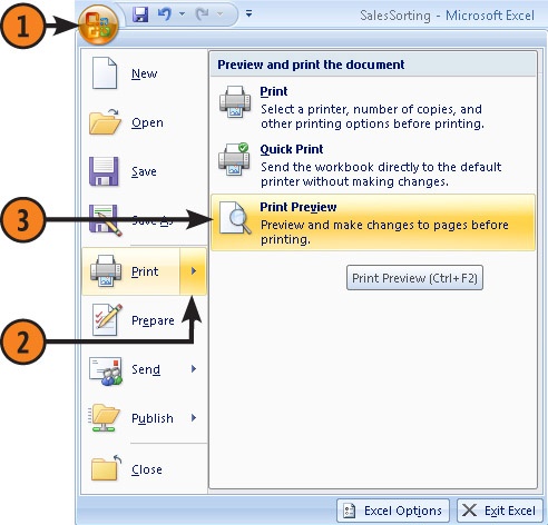 View and Zoom Worksheets in Print Preview