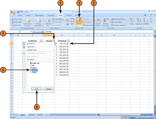 Create an AutoFilter