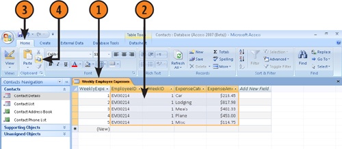 Bring Access Table Data into an Excel Worksheet