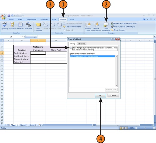 Turn on Workbook Sharing