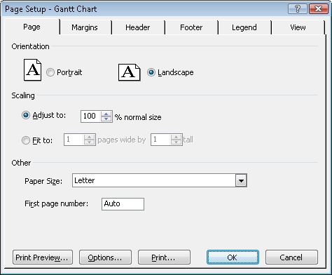 Printing Your Project Plan