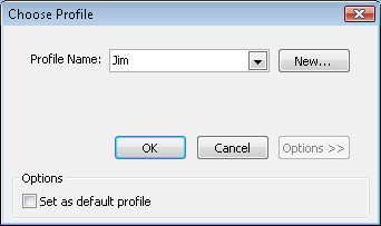 Outlook 2007 prompts you to choose a profile at startup.