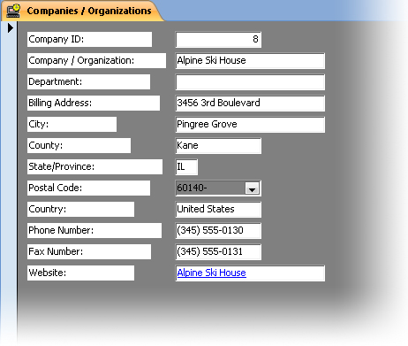 Switch to Form view to see how the Companies / Organizations form looks so far.