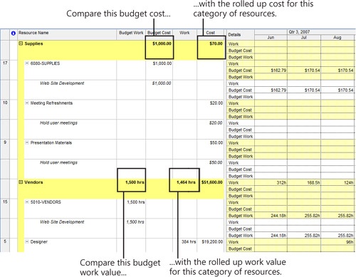 When you group your resources by their budget categories, you can quickly compare the planned costs and planned work against the budgeted costs and work as shown by the budget resources.