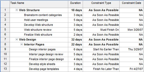 Apply the Constraint Dates table to review or change constraint types and dates.