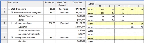 Apply the Cost table to the Task Usage view to see assignment costs.