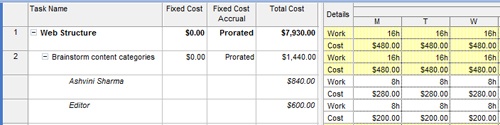 Review assignment costs over time by adding the Cost field to the Task Usage or Resource Usage timephased portion of the view.