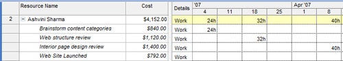 Review total resource costs along with the individual assignment costs that go into that total by applying the Cost table to the Resource Usage view.