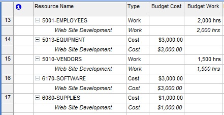 Enter the work, material, and cost values for each of your budget resources. These values represent the target budget against which you will compare project costs.