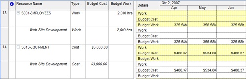 You can enter timephased budget resource values in the timephased portion of the Resource Usage view.