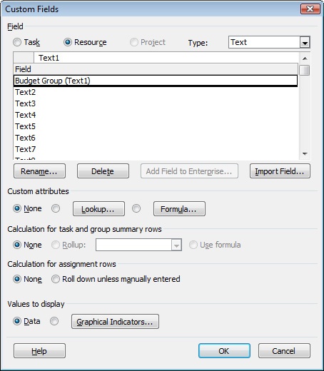 Create a custom text field to categorize your resources by their budget types.