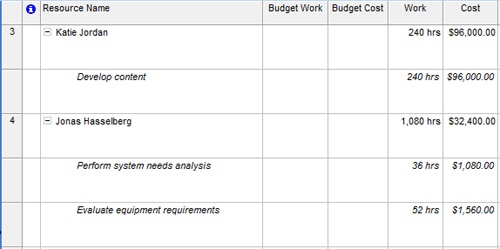 Show the columns necessary to be able to compare your planned costs against your budgeted costs.