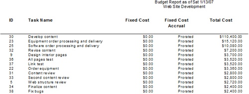 Run the Budget report to view costs for each task.