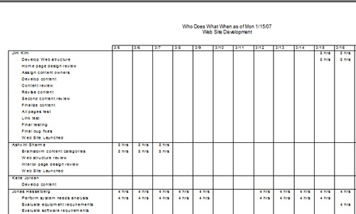 Run the Who Does What When report to see assignment details by day.