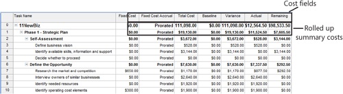 Apply the Cost table to a task sheet to see the most important cost data for tasks.