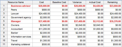 Apply the Cost table to a resource sheet to see summarized cost data for resources based on their task assignments.