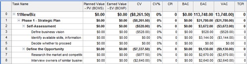 The Earned Value Cost Indicators table displays earned value fields related to budget performance.