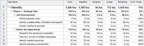 Apply the Work table to a task sheet to see scheduled, baseline, and actual work—along with any variances.