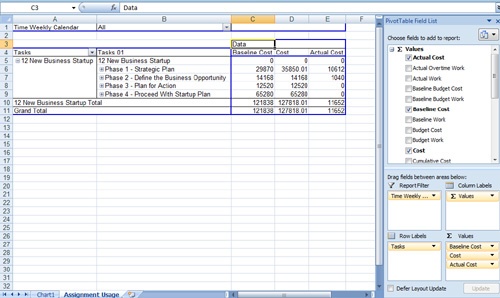 The Assignment Usage tab displays the crosstab table on which the Excel chart is based.