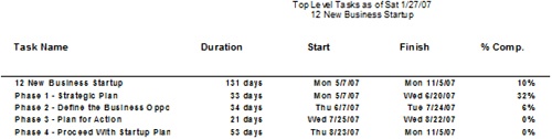 The Top-Level Tasks report shows summary task information.