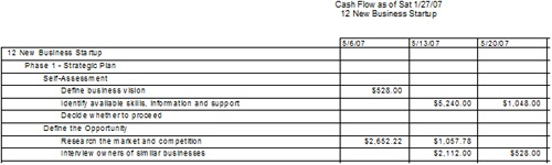 The Cash Flow report shows costs for each task by each week in the project.