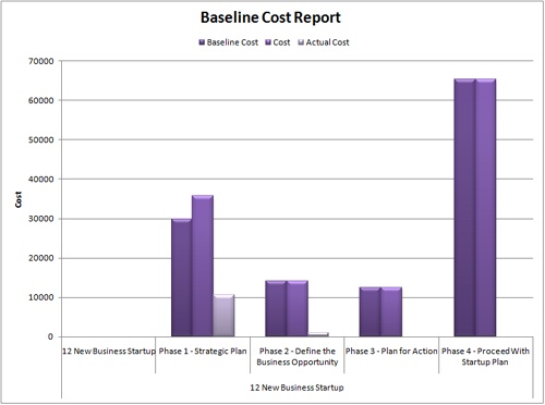 The Baseline Cost Report shows an Excel column chart of costs by task.