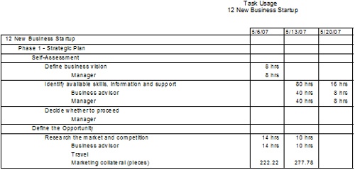 The Task Usage report shows assignments by task.