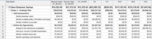 Use the Earned Value table to review earned value fields.