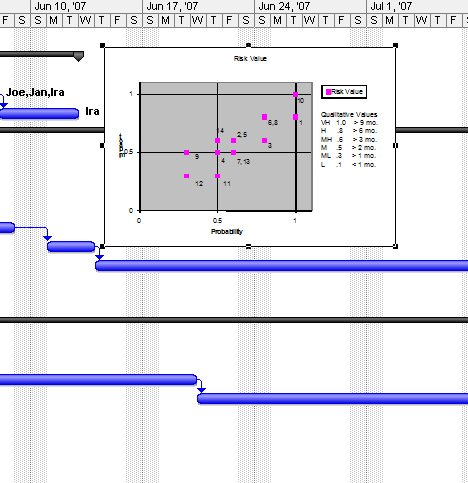 The Excel information appears as a picture in the Microsoft Project location you selected.