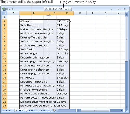 Your project data is pasted into the Excel worksheet.