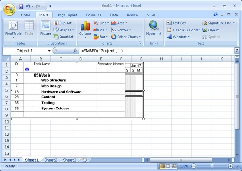 The selected project is embedded in Excel.