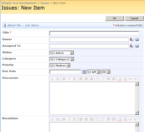 Use the Issues: New Item page to document all details about the issues.