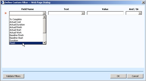 Use the Define Custom Filter dialog box to set up your filter for project information.