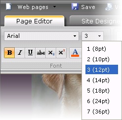 The font sizes in the Font Size list show both the HTML sizes and the more familiar point sizes for the text.