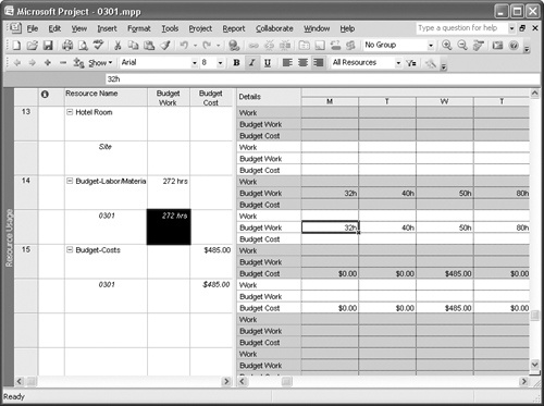 Enter values on the Budget Work and Budget Cost rows for the project summary task. Watch the Budget Work and Budget Cost columns update to display totals assigned.