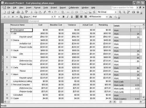 Use the Cost table on the Resource Usage view to review planned costs.
