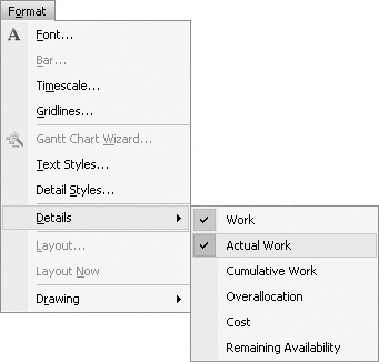 Adding the Actual Work row to the Details portion of the Resource Usage view.