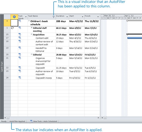 Filtering Project Details